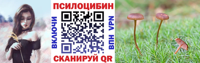 где купить наркоту  Томмот  Псилоцибиновые грибы мухоморы 